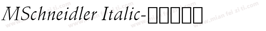 MSchneidler Italic字体转换